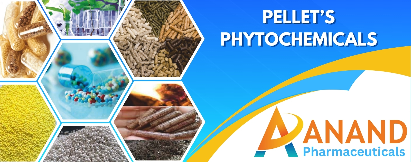 Anand Pharmaceuticals